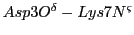 $Asp3O^{\delta}-Lys7N^{\varsigma}$