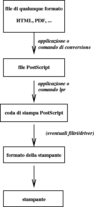 \includegraphics[scale=0.65]{coda_stampa}